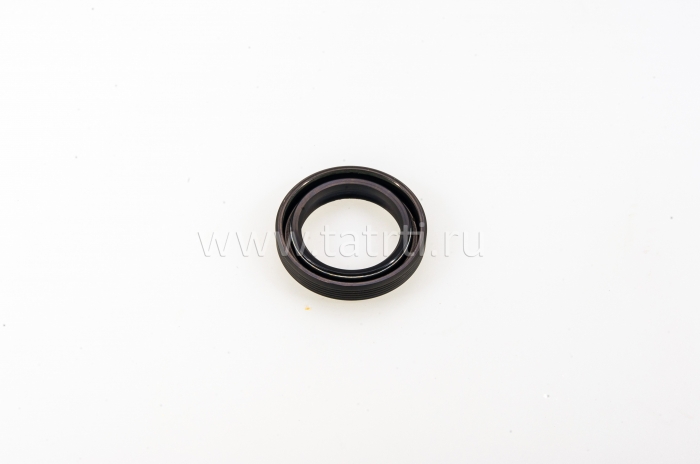 040744- -    RBL  28407 SKT 040744-