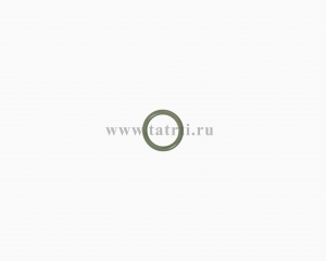  016-020-25 HNBR () 33.1106379