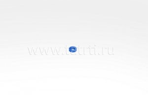  (  )  