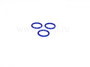 Кольцо дифференциального клапана (фторсиликон) 015-019-25 Строймаш